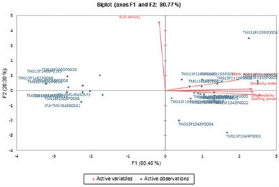 Can improved cassava genotypes from the breeding program substitute the adopted variety for gari production? Biophysical and textural attributes approach